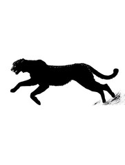 Majestic Black Panther Silhouette: Dynamic Feline in Motion - Creative Wildlife Illustration and Art of Endangered Wild Cat Predator Displaying Agility in Dark Forest Background