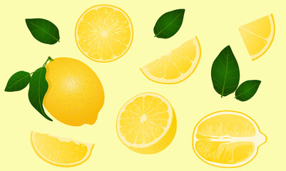 set of citrus fruits