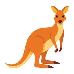 kangaroo vector