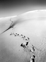 Footprints in the Sand – A Journey into the Unknown (Black and White)