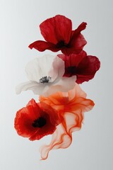 Delicate flowers in vibrant red and white tones, softly layered,