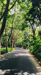Fototapeta premium Sunlit park road, tree-lined path, summer day, tranquil scene, nature background, travel
