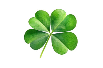 Four leaf clover green