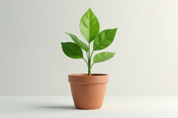 Single plant in pot, isolated against plain background , decoration, green, single