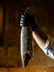 Pescado fresco