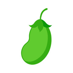 Cute Ivy Gourd Vector Illustration