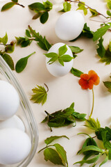 DIY Easter eggs with natural materials using leaves and flowers. Creating patterns on eggs using plants, selective focus.