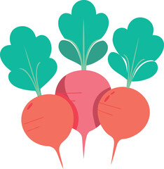 Three radish are shown in a close up