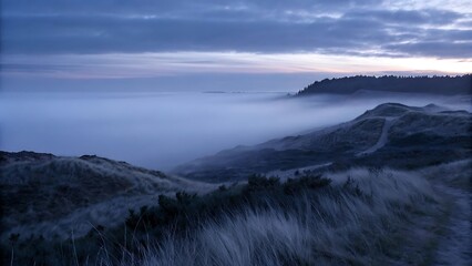 Misty Coastal Landscape at Dawn