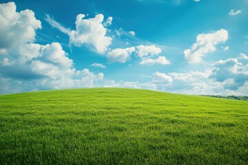 Fototapeta premium A Serene Green Field Under a Vibrant Blue Sky with Fluffy Clouds