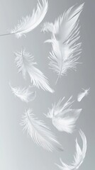 Obraz premium Abstract White Bird Feathers Falling in The Air. Softness of Feathers. Feather on Gray Background.
