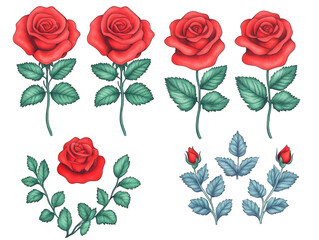 Detailed Digital Illustration of Red Roses and Green Leaves on Transparent Background a Botanical Floral Design with a Vintage and Romantic Theme