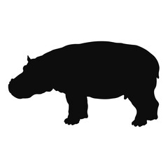 Vector silhouette of a realistic Hippo (Hippopotamus) - black animal illustration, isolated on white background
