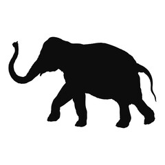 Vector silhouette of a realistic Elephant - black animal illustration, isolated on white background