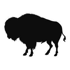 Vector silhouette of a realistic Buffalo (Bison) - black animal illustration, isolated on white background