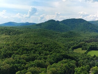 mountain landscape with trees