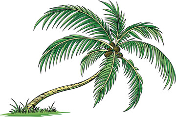 Fototapeta premium 37 tropical palm tree, isolated on white background, vibrant green fronds, curved trunk, photorealistic, high detail, botanical illustration, clear background, single tree, coconut palm, lush foliage,