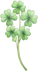 Realistic Illustration Of A Green Four-Leaf Clover Plant With White Speckles And Transparent Background