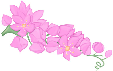 Mexican Creeper Illustration Edible Flowers