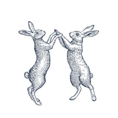 Two hares standing on hind legs facing each other. Line art vector illustration
