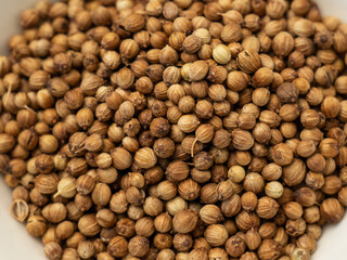 Natural spice dried coriander seeds close-up. Seasoning for cooking and marinades. Coriander seeds, coriander peas, aromatic spice