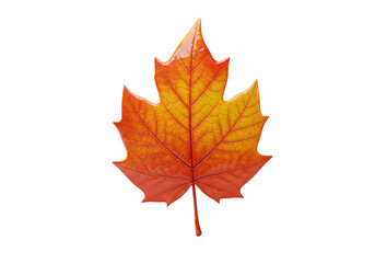 Obraz premium Glossy Polished Autumn Leaf with High-End Realistic Shading