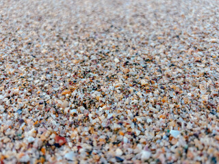 Close up of colorful seashell fragments and pebbles on a sandy beach. Natural textures and coastal aesthetics