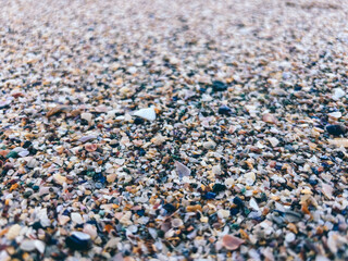 Close up of colorful seashell fragments and pebbles on a sandy beach. Natural textures and coastal aesthetics