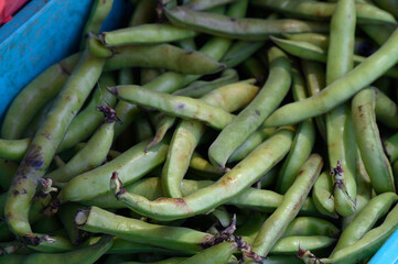 Fresh green fava beans piled high in a rustic market basket during the vibrant farmers market