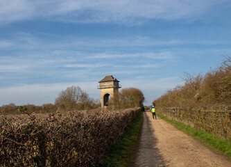 road to the field with a view of the sky and a water tower