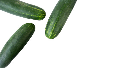 fresh cucumber with space for text isolated on white background