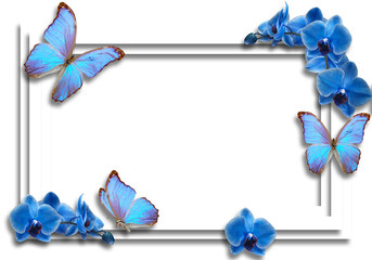 blue butterflies and blue orchids on a transparent background with shadows.Close-up,isolated,macro © Nina