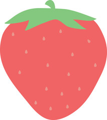 illustration of a hand-painted fruit 과일 손그림 일러스트