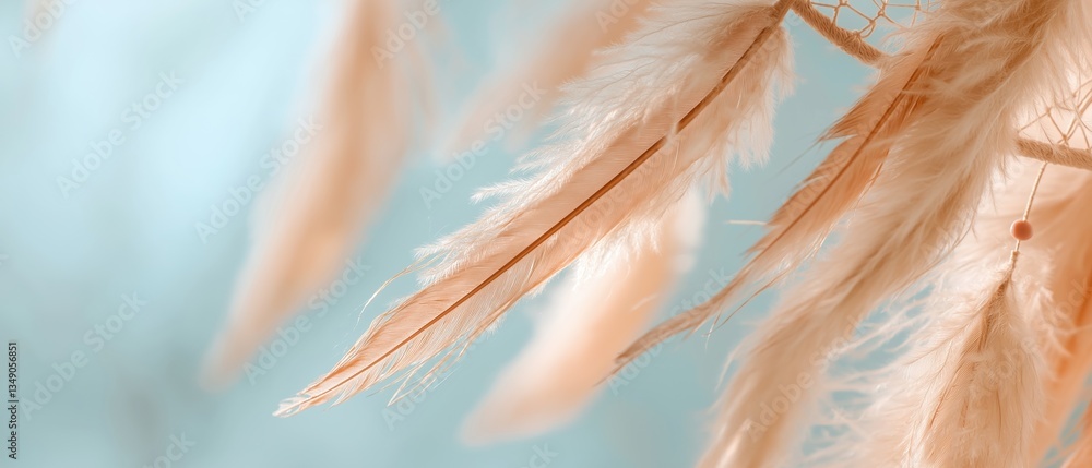 Poster close-up of a bunch of feathers hanging from a branch. the feathers are light pink in color and have
