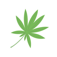 Palmate leaf vector illustration – rainforest jungle leaf clipart for botanical, natural, and garden projects