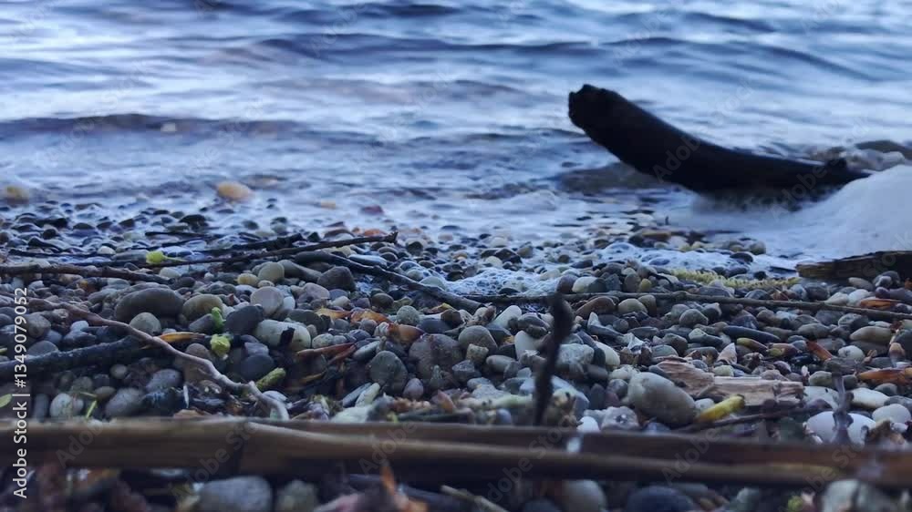 Poster beach with a lot of rocks and a branch in the water. the branch is partially submerged in the water