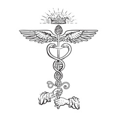 Detailed Drawing of Caduceus with Wings, Crown, and Hands Holding Sword in Line Art Style