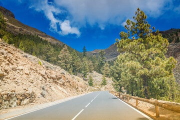 Scenic road winding through a mountainous landscape of Teide National Park in Tenerife with lush pine forests
