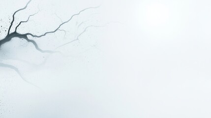 A minimalist, abstract image featuring a cracked surface with subtle textures against a light background, creating a sense of depth and intrigue.