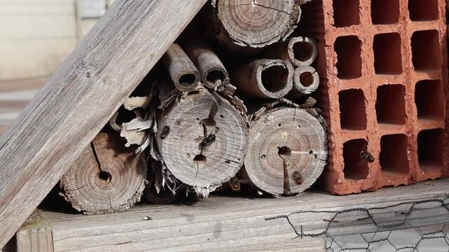 H&ocirc;tel &agrave; insectes en bois et briques, habitat &eacute;cologique pour la biodiversit&eacute;.