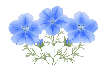 Fototapeta premium Blue Watercolor Floral Illustration With Transparent Background Depicting Delicate Petals and Green Leaves Against a Black Background an Isolated Artwork for Design Element