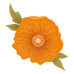 Orange Poppy Flower Illustration &ndash; Hand-Drawn Botanical Artwork