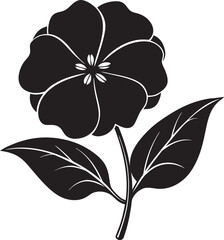 black and white flower