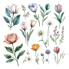 Obraz premium Watercolor floral sticker pack featuring roses, tulips, daisies, and magnolias