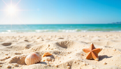 Bright seashells on sandy beach under sun, serene relaxation