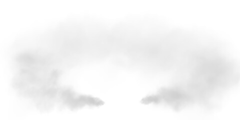 Obraz premium A soft, airy fog spreads across the scene, creating a subtle, ethereal atmosphere. Light gray mist with delicate diffusion blends seamlessly into the background, evoking a sense of calm and mystery.