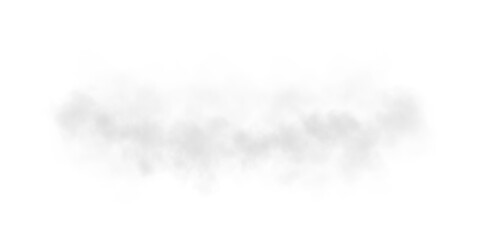 A soft, airy fog spreads across the scene, creating a subtle, ethereal atmosphere. Light gray mist with delicate diffusion blends seamlessly into the background, evoking a sense of calm and mystery.