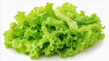 Fresh green lettuce leaves arranged on a white background