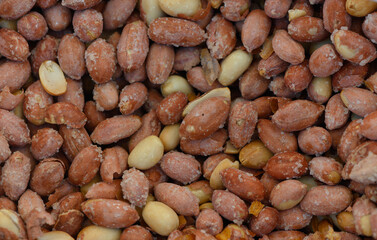Natural blend of roasted peanuts showcasing various shades and textures in a vibrant arrangement