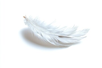 Floating White Feather Isolated on White Background for Soft Textures